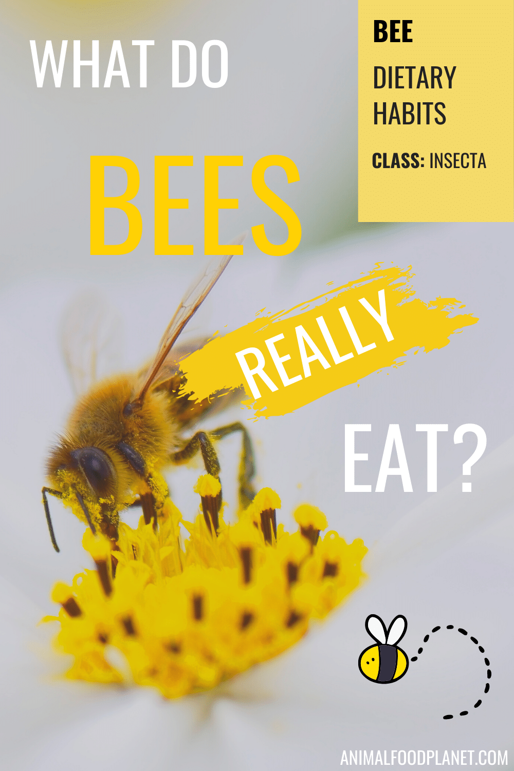 What Do Bees Eat?
