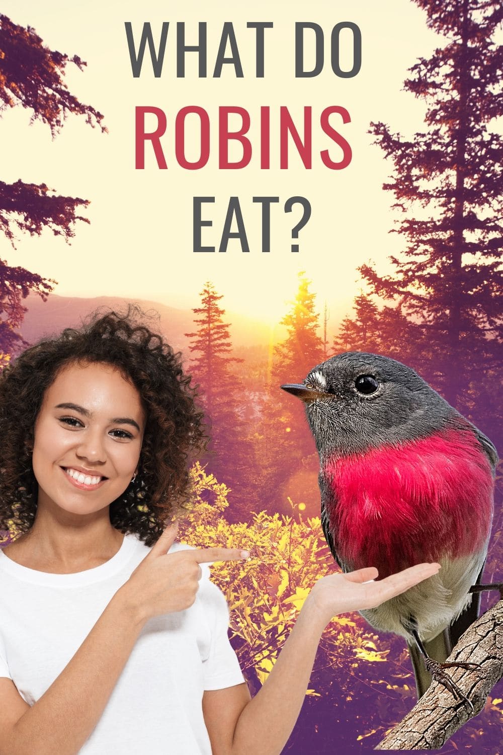 What Do Robins Eat?