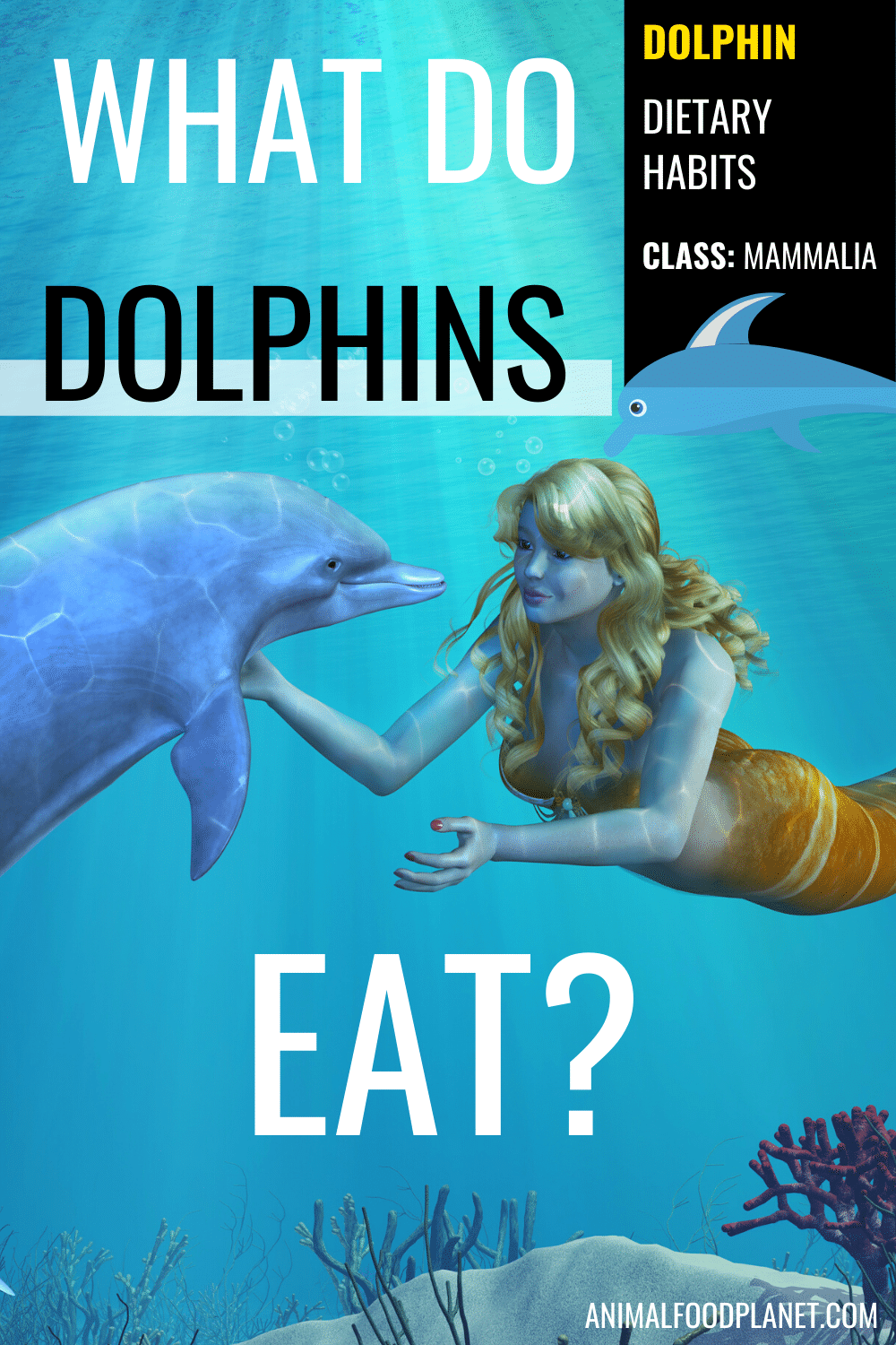 What Do Dolphins Eat?