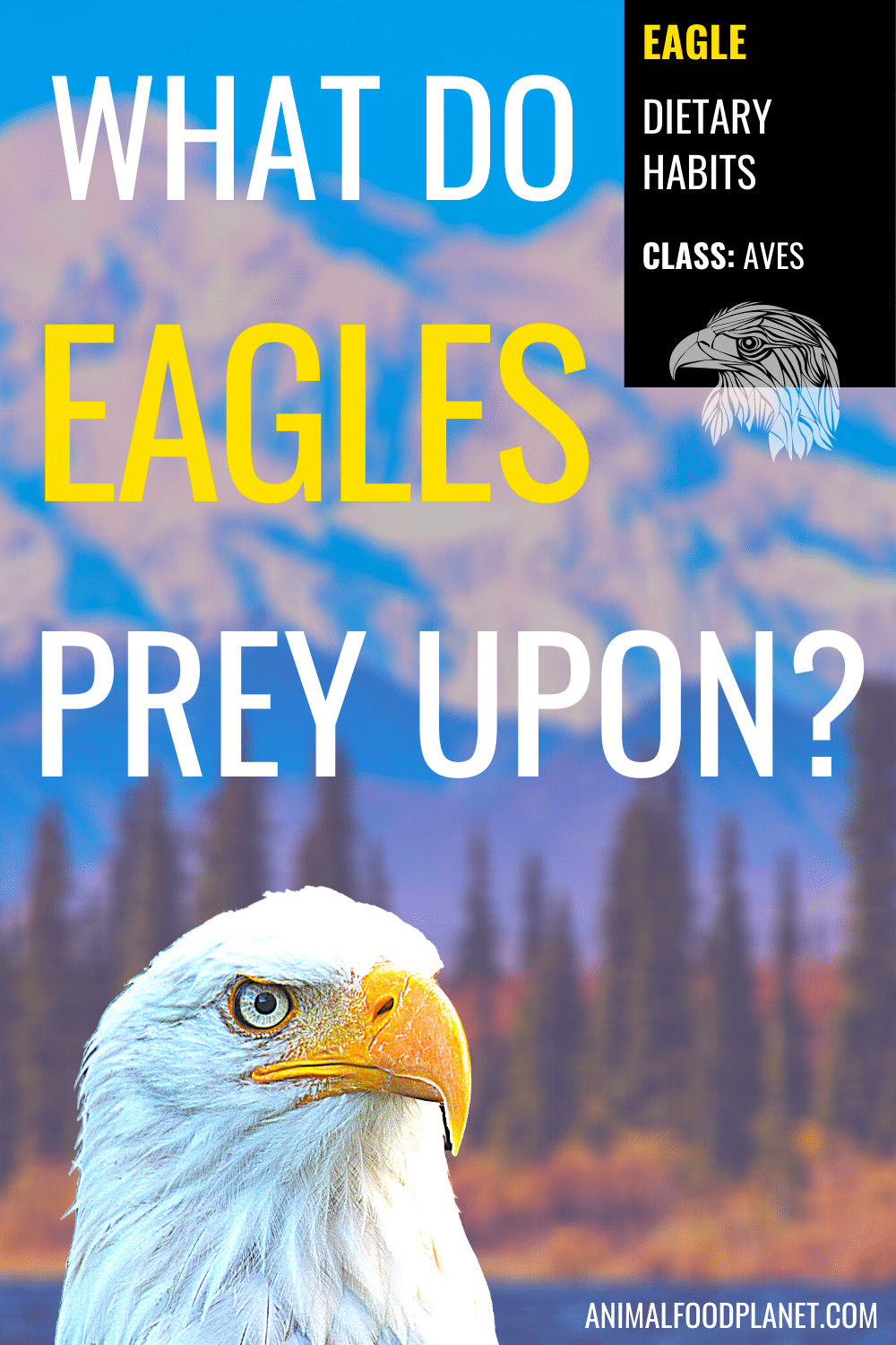 The Eagle's Diet in a Nutshell: Detailed Breakdown The Eagle's Diet in a Nutshell: Detailed Breakdown