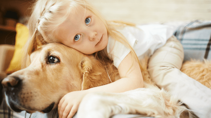 How to Get Your Dog to Cuddle with You – NICE!