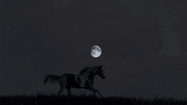 What Do Horses Do At Night – The Answer!