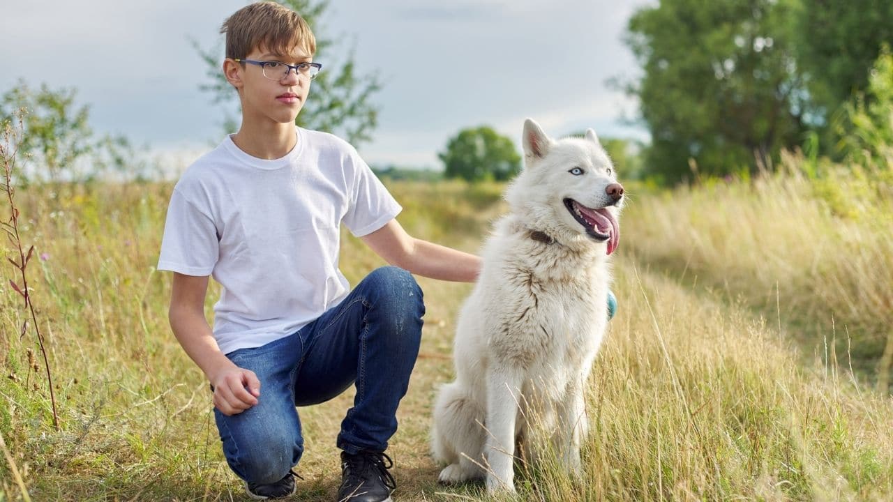 Canadian Inuit Dog