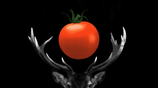 Will Deer Eat Tomato Plants