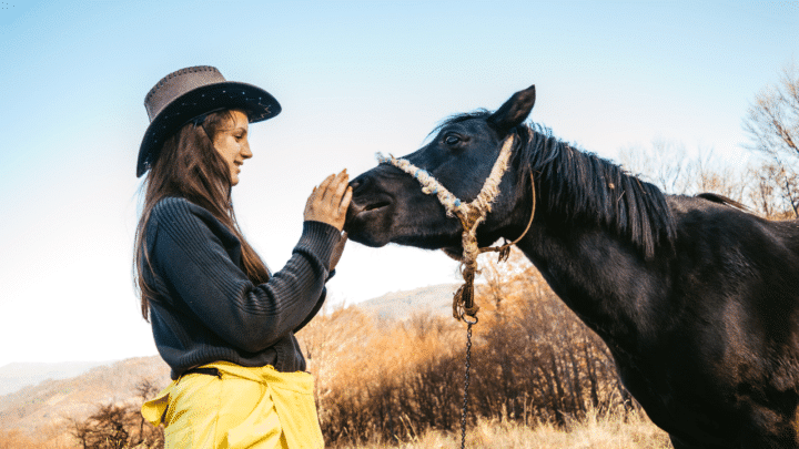 How to Tell if a Horse Likes You? — True Signs of Affection!