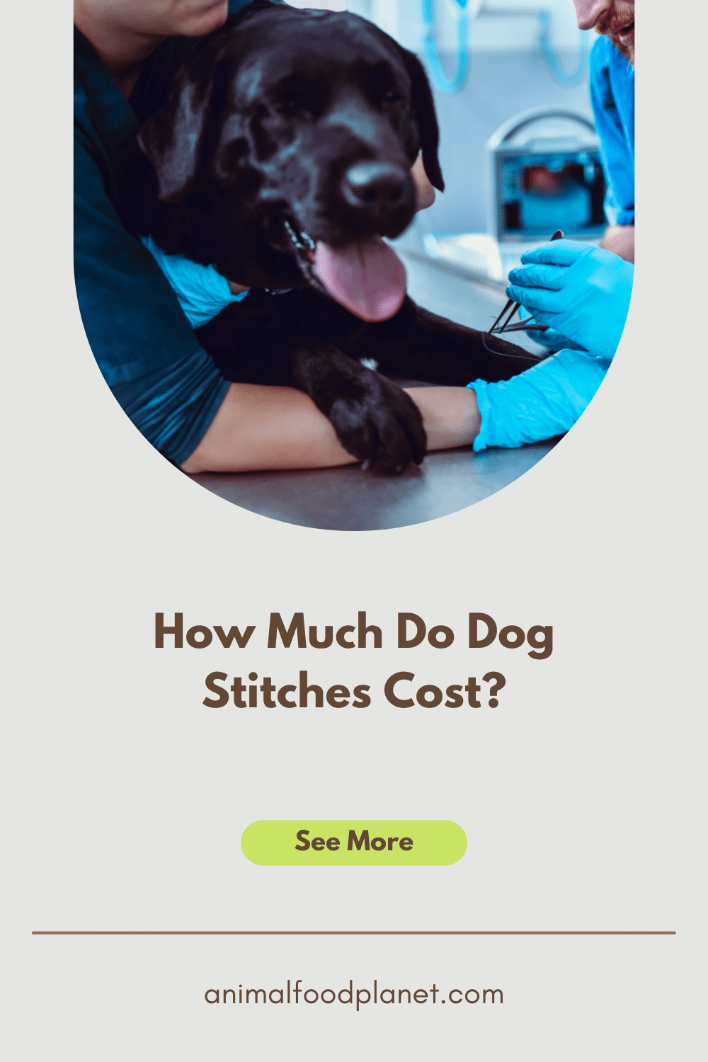 How Much Do Dog Stitches Cost How Much Do Dog Stitches Cost?