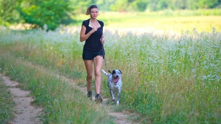 Is an Overhead Cable Running Leash Suitable for All Dogs?