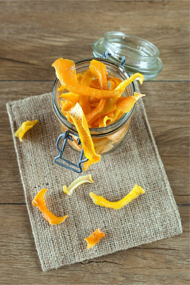 4 Effective Methods How to Stop Cats from Eating Plants