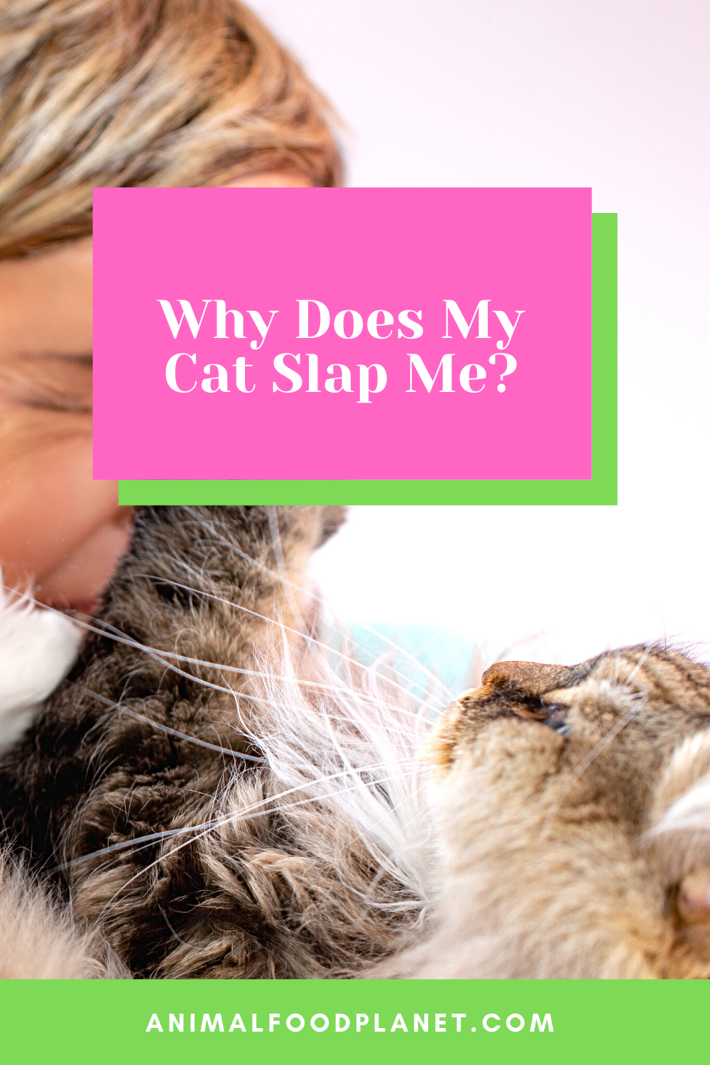 Why Does My Cat Slap Me