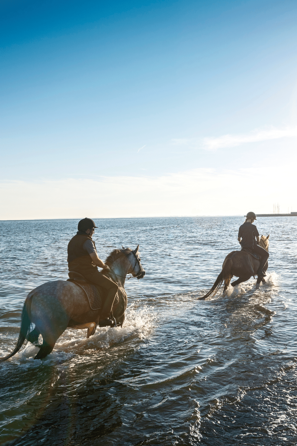 Horses can Bear a Human Weight Well