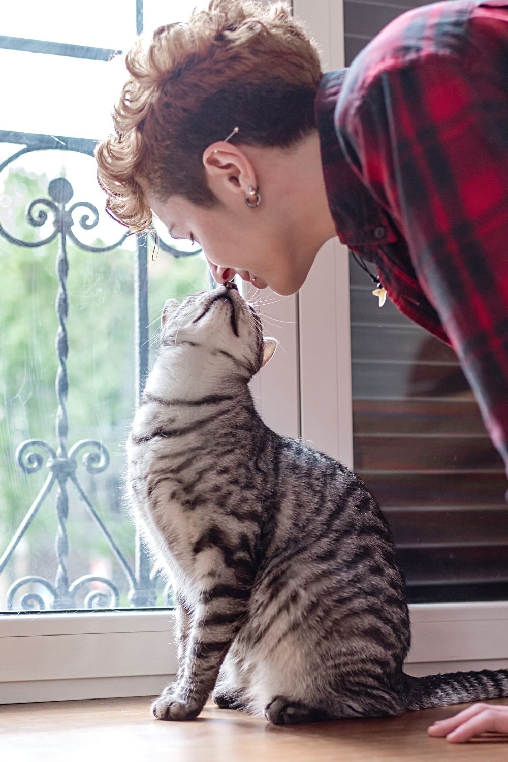 When cats bond with their humans, they give off pheromones