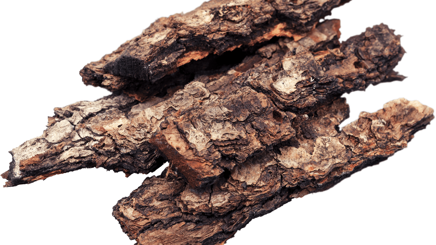 Bark Or Wood