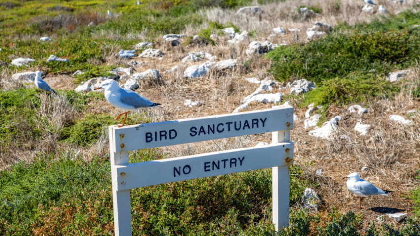 Bird Sanctuary Sites
