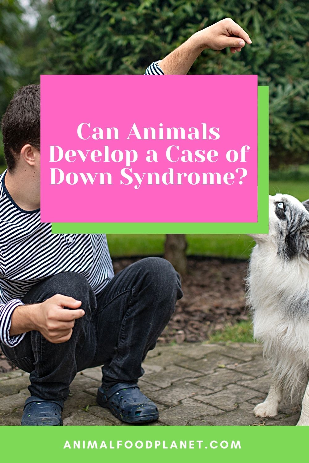 Can Animals Develop a Case of Down Syndrome?