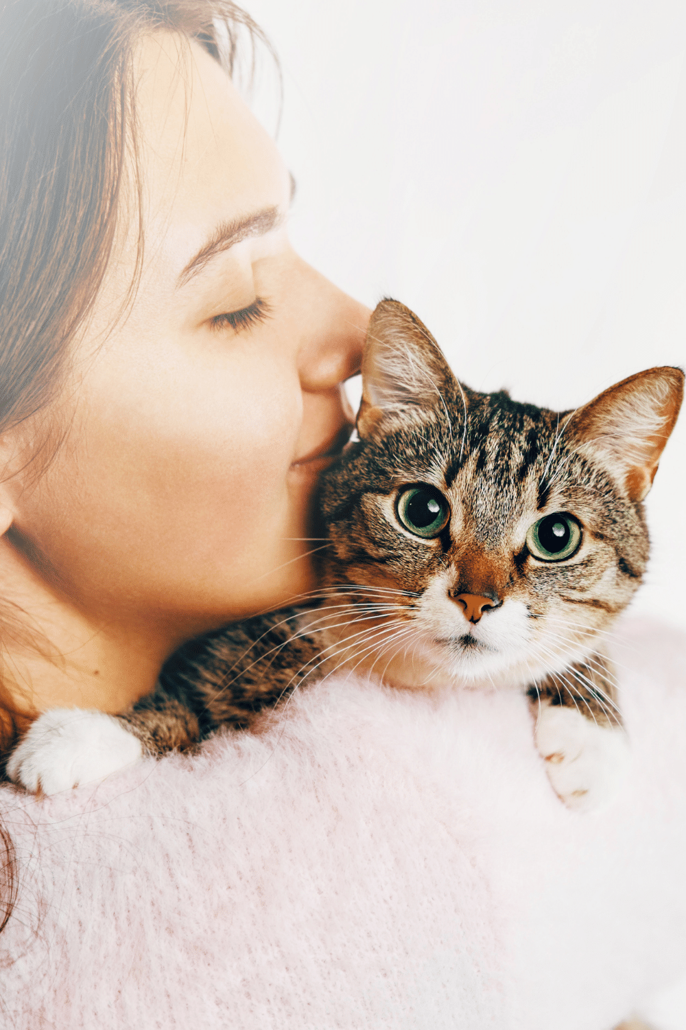 Cats Knead Their Owners’ Necks To Show How Much They Love Them