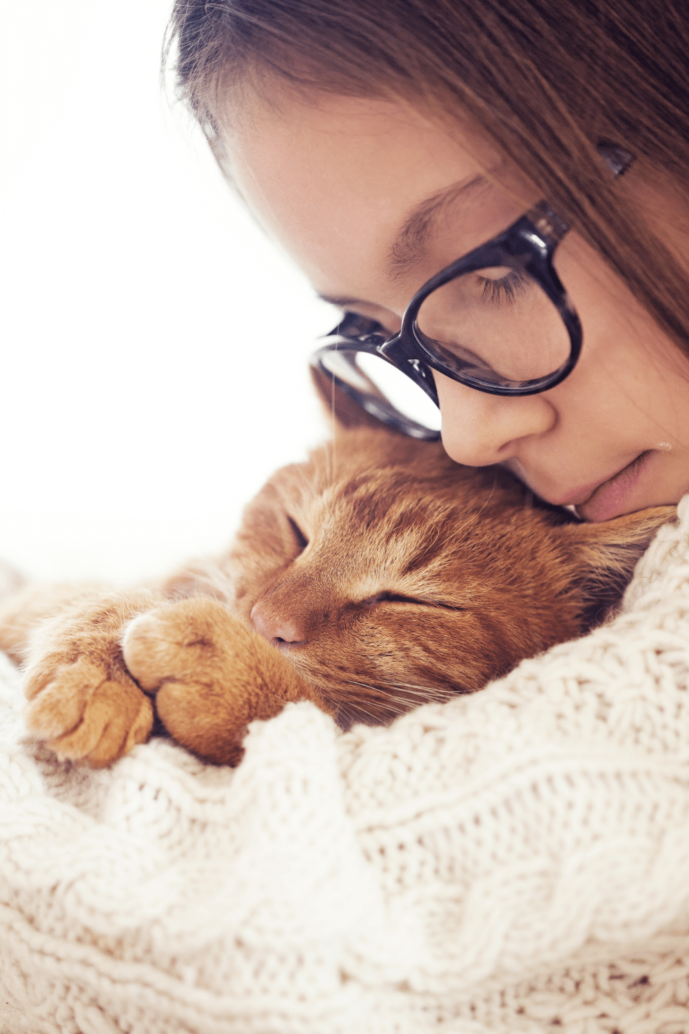 Cats Prepare For Sleeping By Kneading