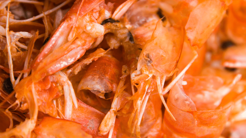 Shrimp Shells