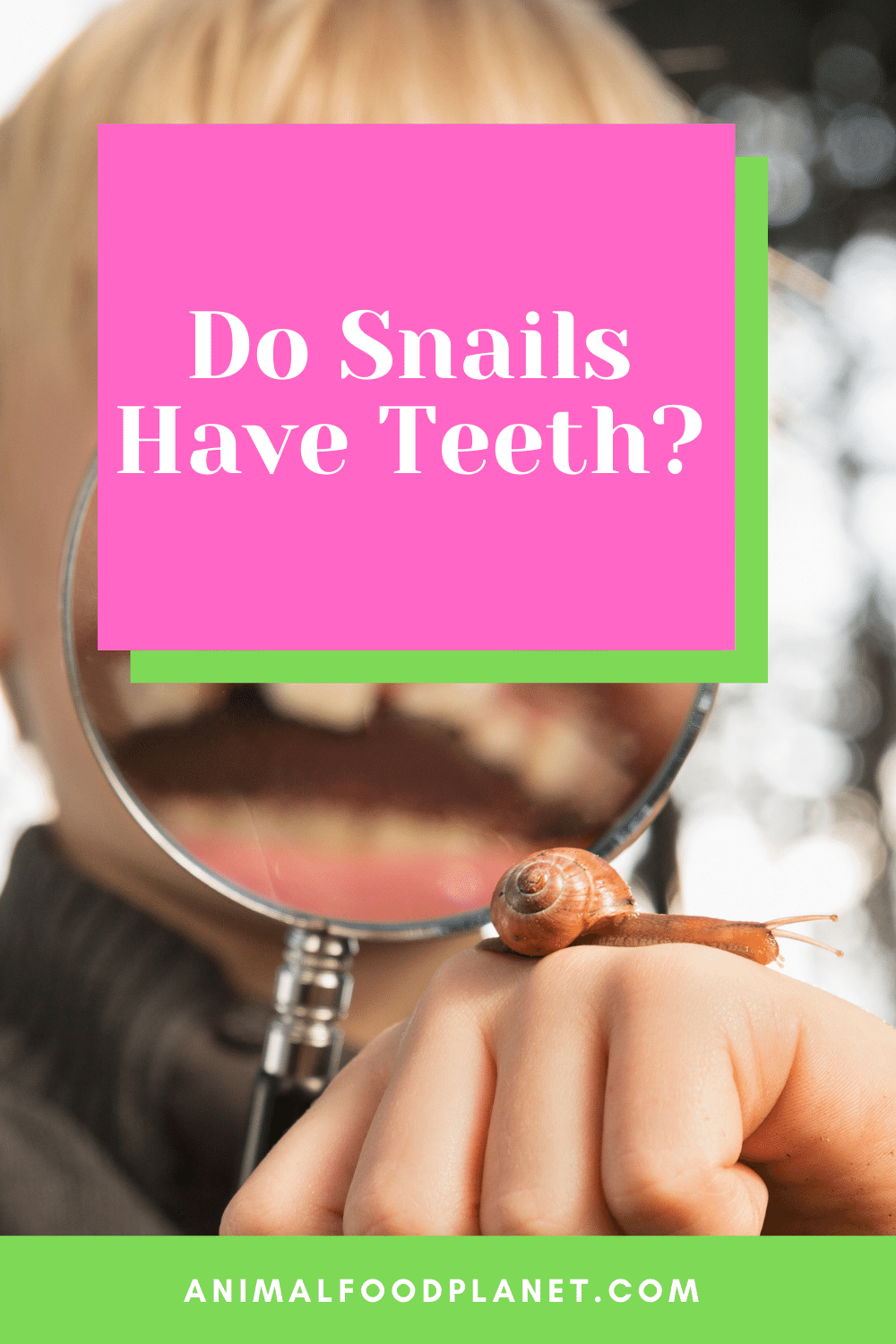 Do Snails Have Teeth?