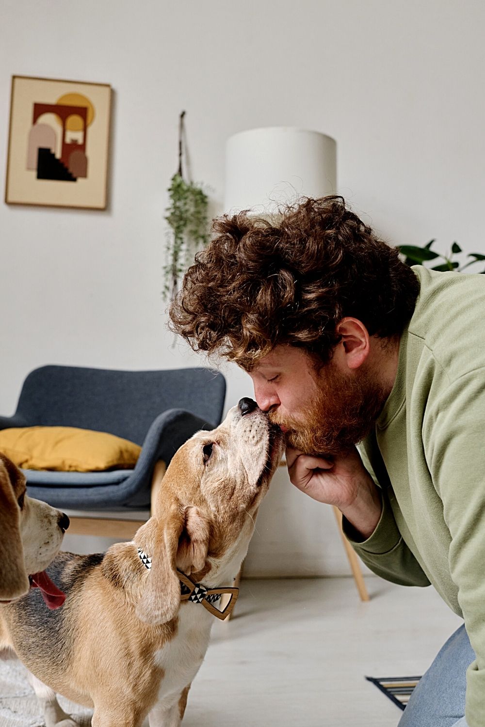 Dogs are humble because once they're bonded to their humans, they'll look to them for guidance