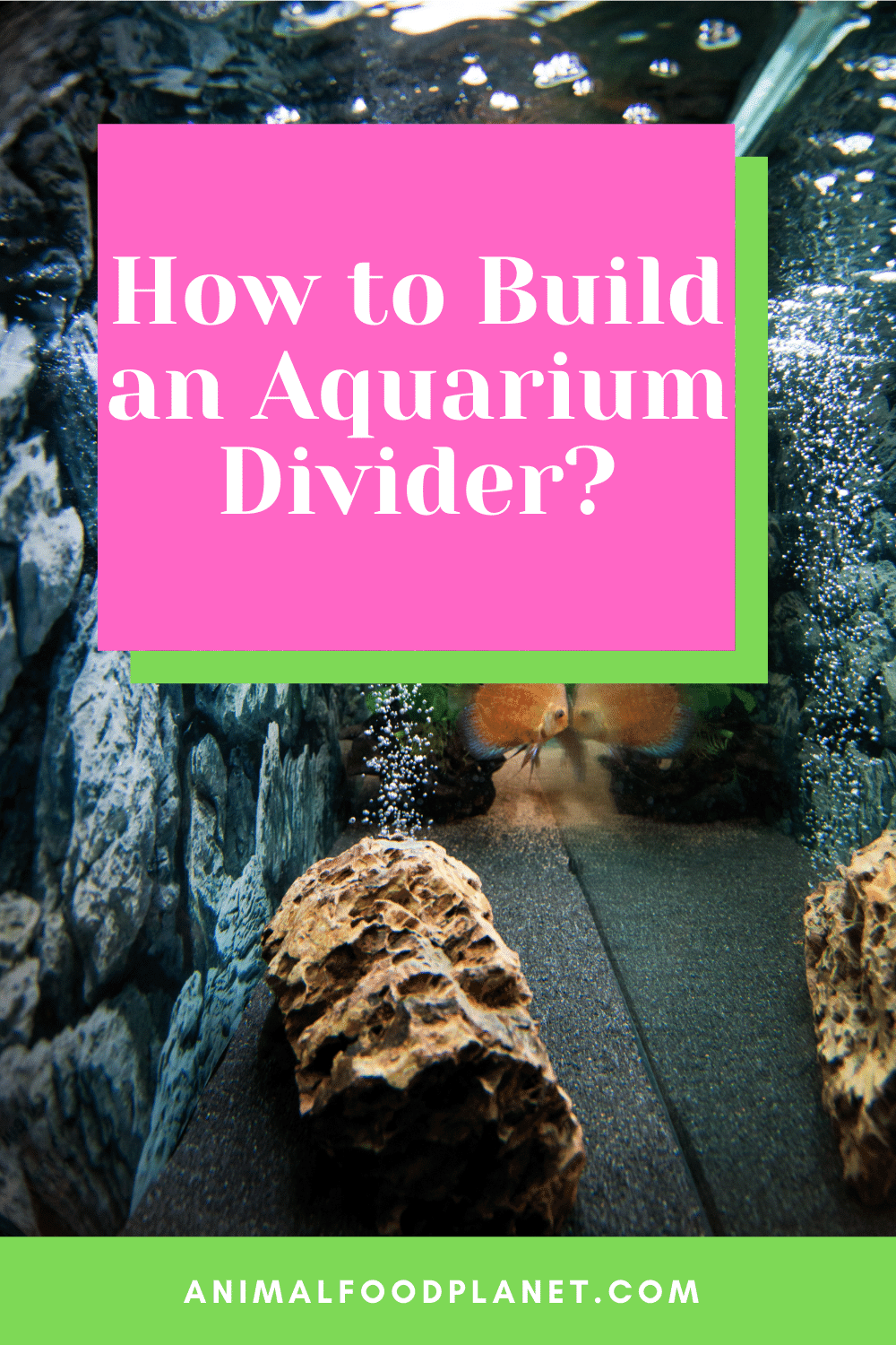 How to Build an Aquarium Divider?