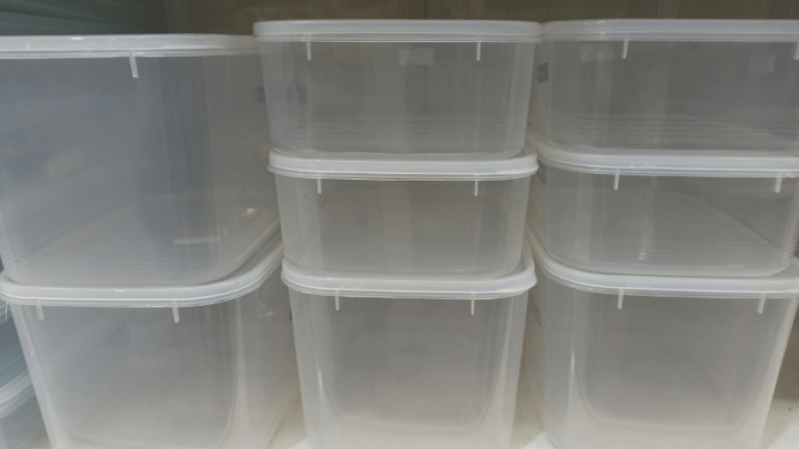 Powder Blue Isopods Care - The Complete Guide