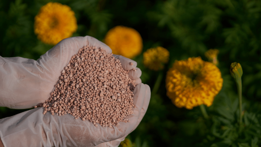 Nitrogen Compounds Are An Essential Component Of Fertilizers And Pesticides