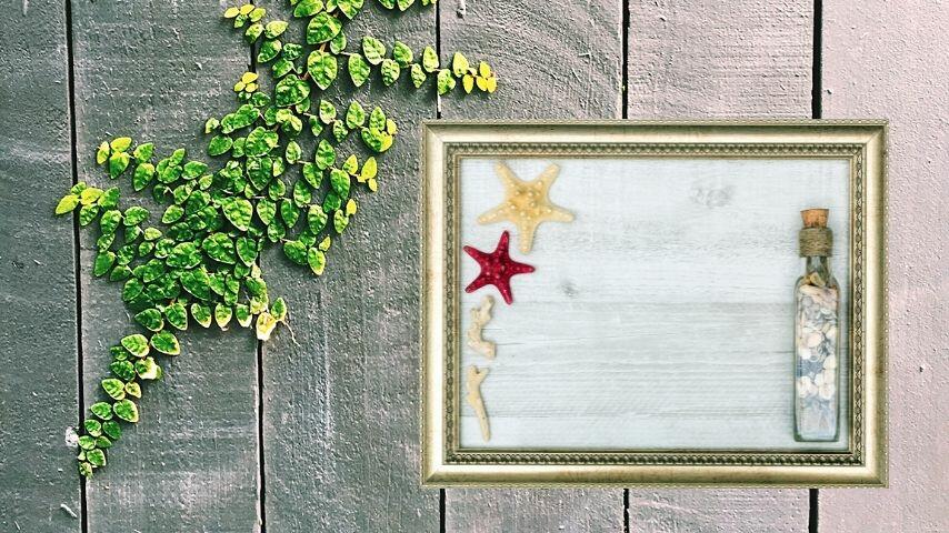 One way to peserve a starfish and turn it into an ornament is to place it inside a photo frame