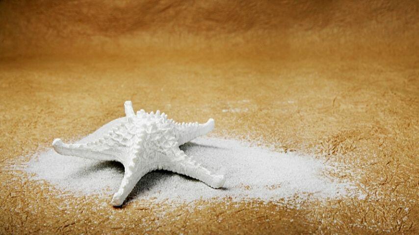 Place the starfish in a plate full of salt to remove the excess water and moisture in its body
