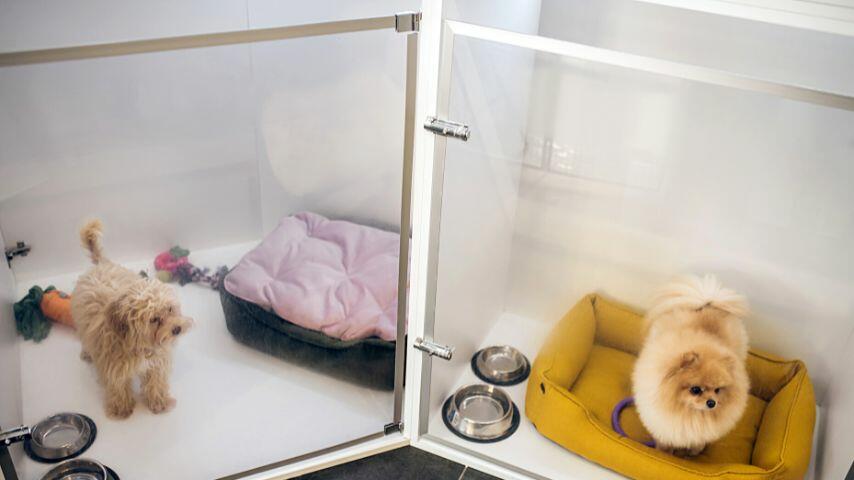 A number of airports in the USA now offer pet sitting services for both the passengers and their friends and family who will pick them up in the airport A number of airports in the USA now offer pet sitting services for both the passengers and their friends and family who will pick them up in the airport