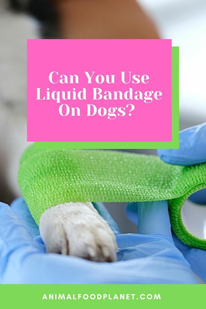 Can You Use Liquid Bandage On Dogs?