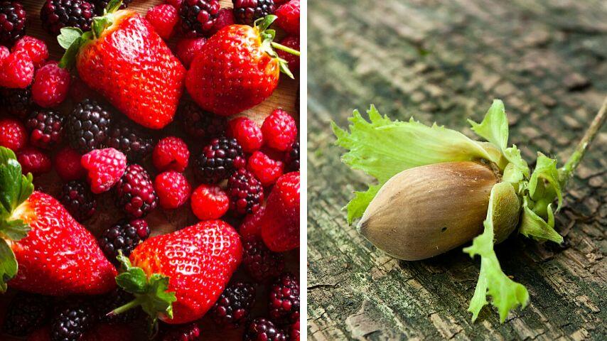 Fruits and nuts can also be fed to foxes visiting your home if you don't have cooked meat Fruits and nuts can also be fed to foxes visiting your home if you don't have cooked meat