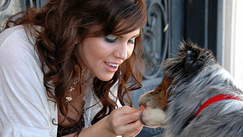 One other way to prepare your dog for a nail-clipping session is to give him treats