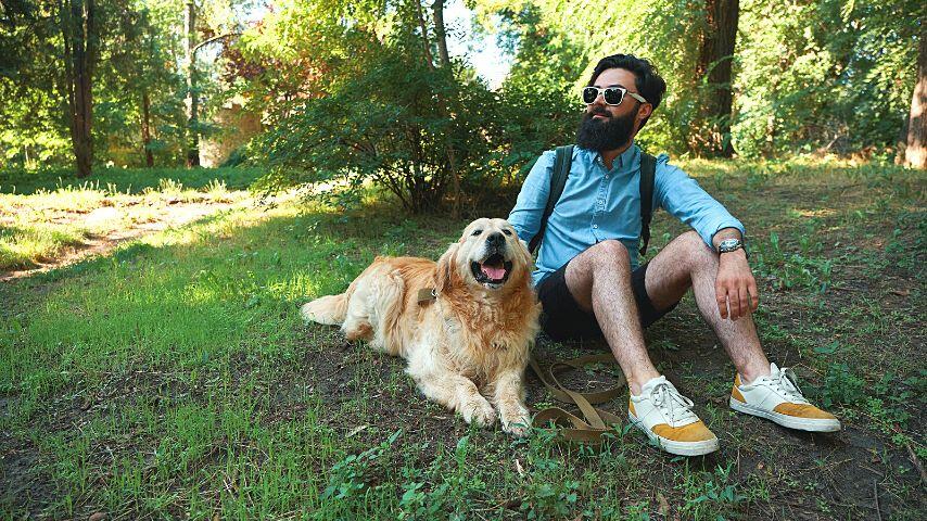 Since exercising under the sun can be bad for your dog, move it to early mornings or cooler evenings Since exercising under the sun can be bad for your dog, move it to early mornings or cooler evenings