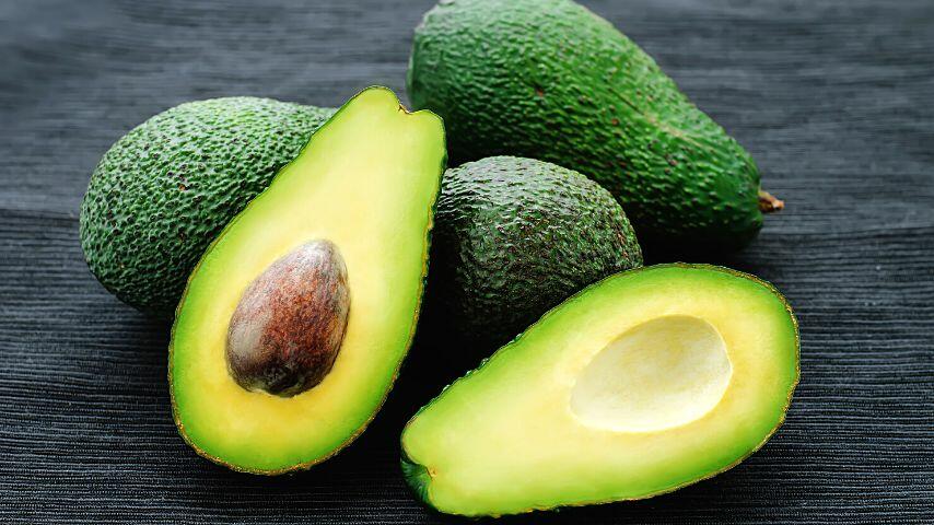 The high fat content of the avocado can cause foxes to suffer from an upset stomach or even pancreatitis after eating it